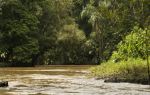 Ulu Temburong National Park