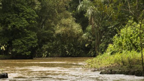 Ulu Temburong National Park