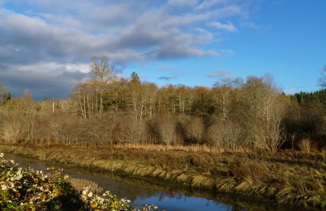 Отели рядом с достопримечательностью «Университет Мидлсекс»