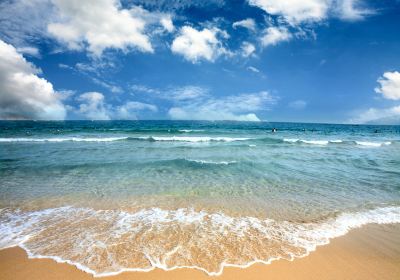 Surfer's Paradise Beach