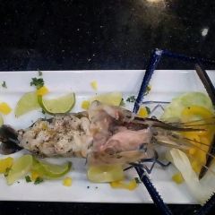 Casa Fellini User Photo