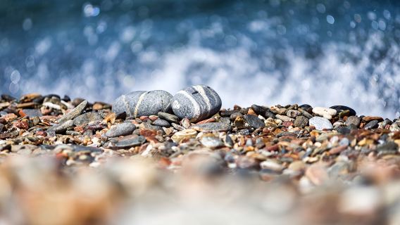 ブライトン・ビーチ+セブン・シスターズ・カントリー・パーク ワンデーツアー【貸切チャーター専用ルート|中日英対応ドライバーガイド】