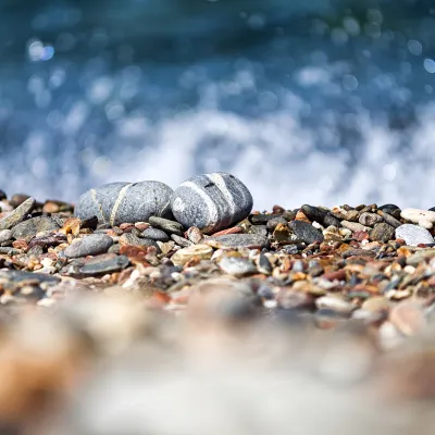 Отзывы об отеле Paskins Town House