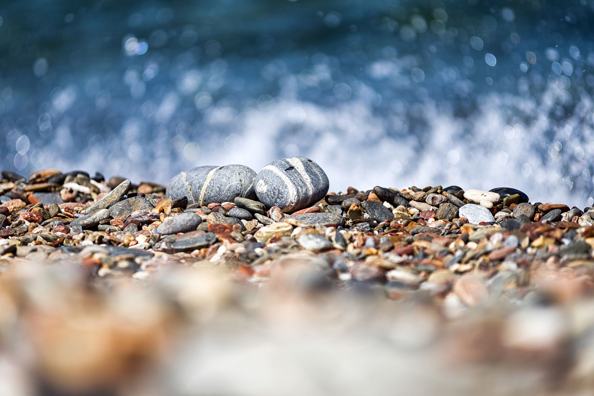 ブライトン・ビーチ+セブン・シスターズ・カントリー・パーク ワンデーツアー【貸切チャーター専用ルート|中日英対応ドライバーガイド】