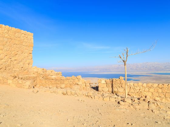 Masada National Park