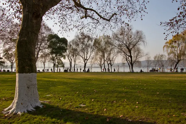 Vé máy bay Savannah Kamloops