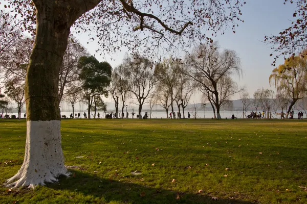 Vé máy bay Savannah TP. Hồ Chí Minh