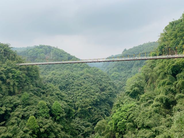 Bamboo Canyon Scenic Area (Jinji Valley)