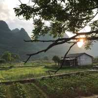 Spectacular Yangshuo Tea Cozy Inn 