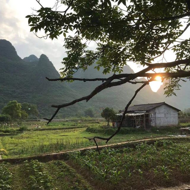 Spectacular Yangshuo Tea Cozy Inn 