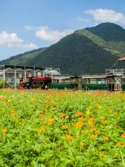 縉雲筧川花海