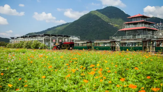 Jianchuan Flower Sea, Jinyun