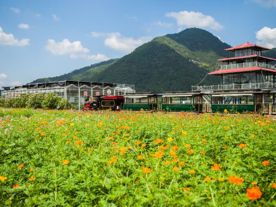 Jianchuan Flower Sea, Jinyun