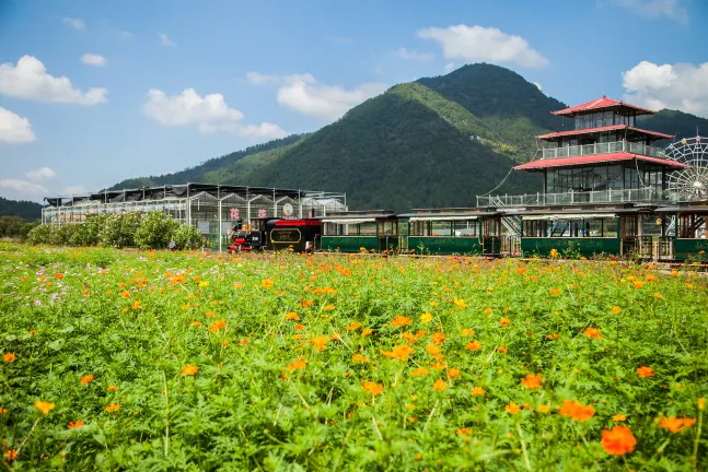 Hotel Wyndham di Cangnan