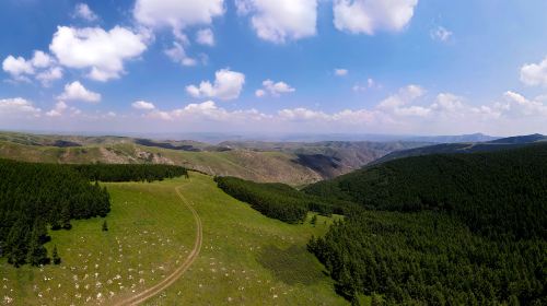 哈達門高原牧場