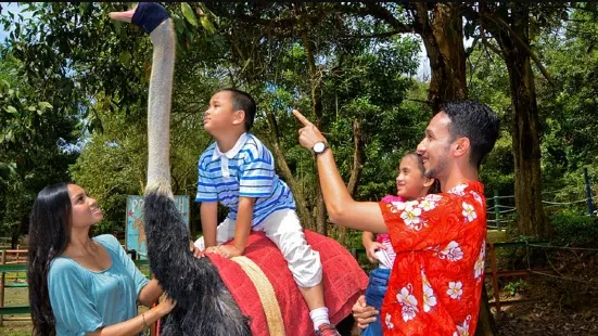 波德申鴕鳥園