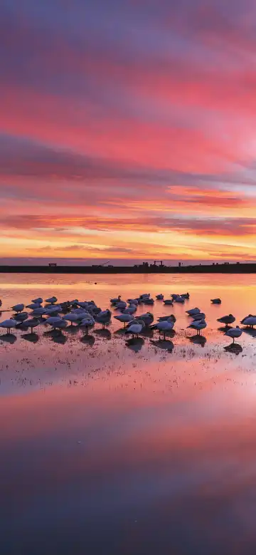 โรงแรมในริชมอนด์