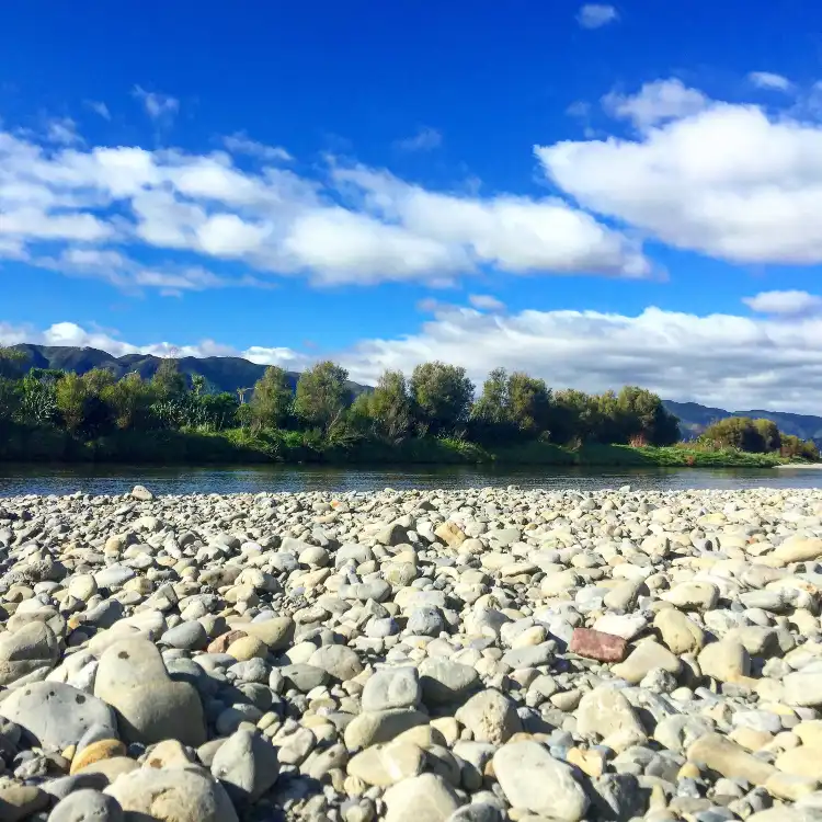Hotels near Hutt Park