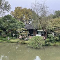 LONGJING MANOR User Photo