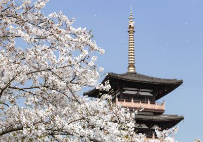 鐘埭櫻花公園