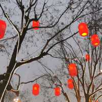 Xi'an 西安 ～3 day trip
