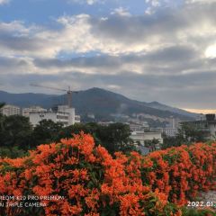 隆江猪脚饭 User Photo