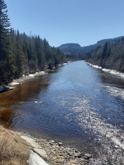 Black Sturgeon River Provincial Park