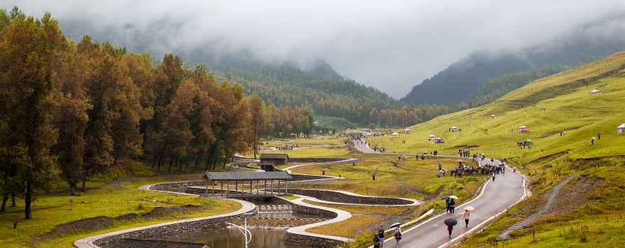Bamboo Valley