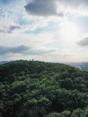 龍王山公園