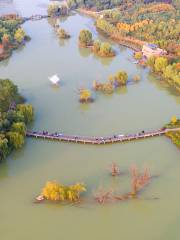 Zhengzhoushi Diaosu Park