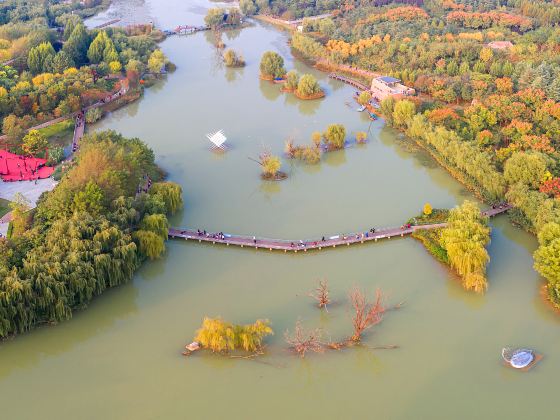 Zhengzhoushi Diaosu Park