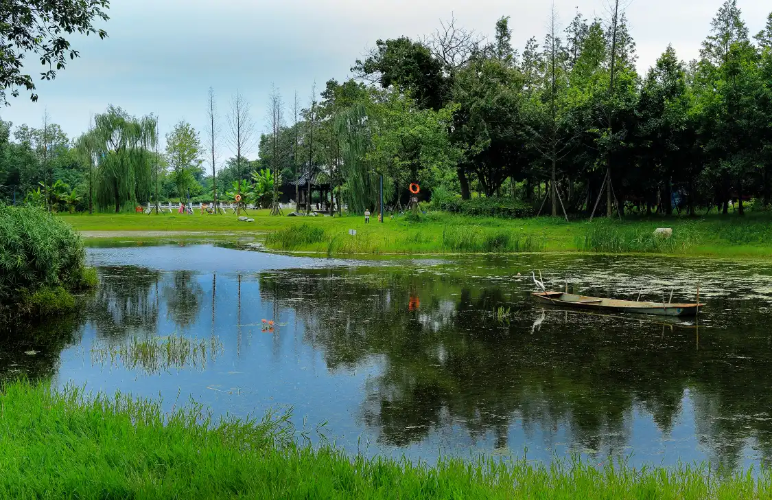 新都泥巴周辺のホテル