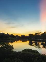 Парк водно-болотных угодий на реке Мешер