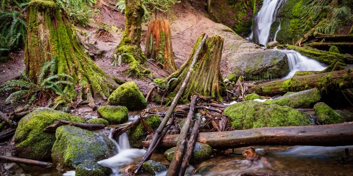 Coal Creek Trail