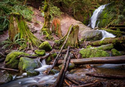 Coal Creek Trail