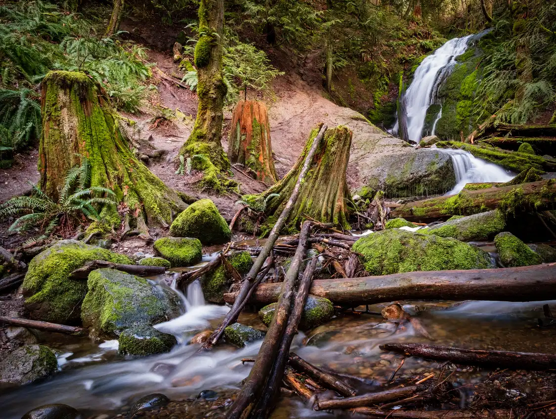 Hotels near Coal Creek Trail