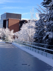 Canadore College