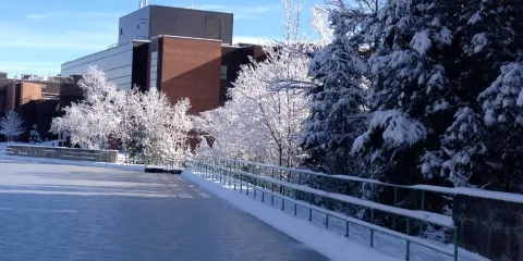 Canadore College