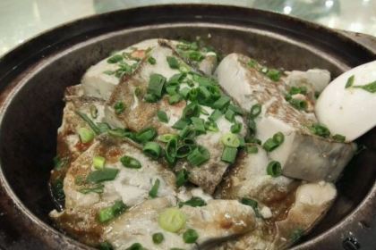 Century Fishing Port