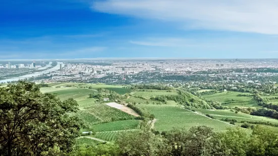 Kahlenberg