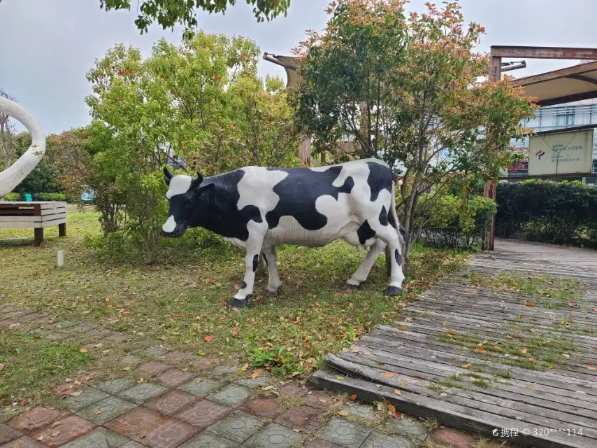 중국 유방 박물관 주변 호텔