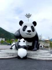 Hanzhong Foping Panda Natural Reserve