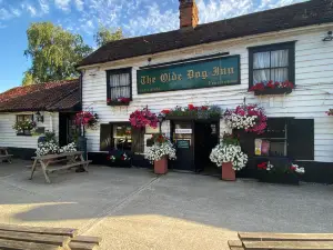 The Olde Dog Inn