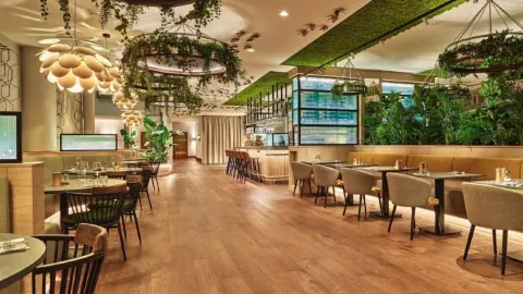 Botanica in 헤이그