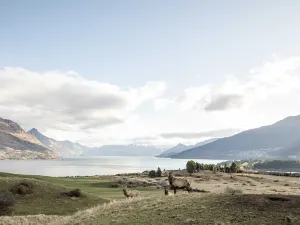 Deer Park Heights Queenstown