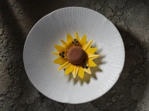 Borkonyha WineKitchen