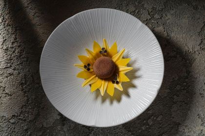 Borkonyha WineKitchen