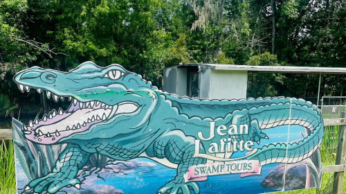 Jean Lafitte Swamp Tour