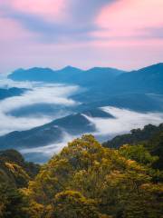 Yunwu Mountain Forest Park