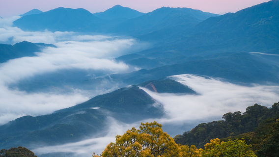 Yunwu Mountain Forest Park